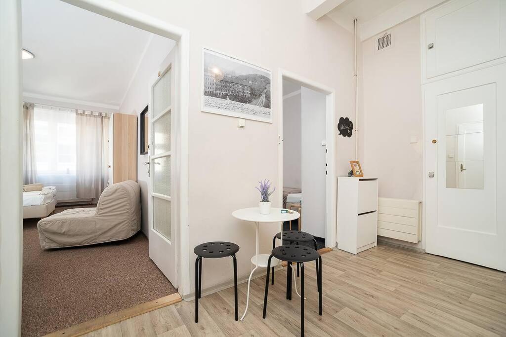 Appartamento In Zizkov -202-